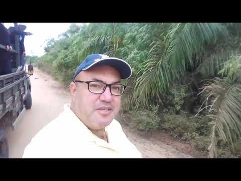 Embedded thumbnail for Pantanal Ecotrips - Jeep safari